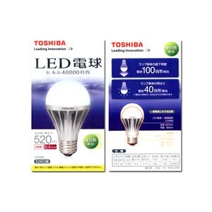 TOSHIBAiŁj LEDdi60Wj E-COREiC[ERAjyFz摜1