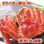 【ボイル姿タラバガニ／約１,４ｋｇ×１尾】ドカ〜ンと丸どこ１匹の迫力！食べ応え満点！！