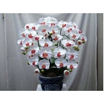 光触媒フラワーアート　胡蝶蘭（造花）白赤　全高約70cm