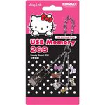 磁気研究所 USB2GBtypeD-bl （USBメモリー）