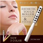 グッディア ETR-S エステタッチ ローラー シルバー