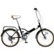 Raychell 折畳自転車 MHD-206R-BK ブラック
