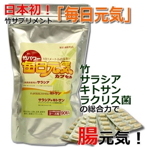 竹サプリメント「毎日元気」　竹の生命力・成長力を食べて健康・元気！（30粒入　約10日分）