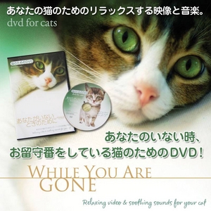 猫のためのDVD / あなたがいないときのために　