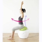 家庭用フィットネス コアトレーナー エイトバランス AIM-FN003 ツカモトエイム コアトレーナー エイトバランス AIM-FN003 価格
