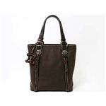 【現品限り】Celine（セリーヌ） トートバッグ キャンバス カーフ ブラウン 【新品同様】