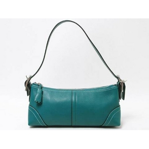 【現品限り】COACH（コーチ） アクサセりーポーチ カーフ グリーン 8A64【中古A】