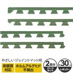 やさしいジョイントマット ナチュラル 約2畳分サイドパーツ レギュラーサイズ（30cm×30cm） 畳（たたみ） 〔クッションマット カラーマット 赤ちゃんマット〕