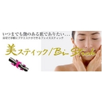 美スティック ローラータイプ 【Bi-Stick】 プラチナシルバー