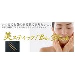 美スティック ソフトタイプ 【Bi-Stick】 プラチナシルバー