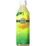 キリン 小岩井 純水グレープフルーツ 500mlPET 96本セット （4ケース）