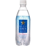 サッポロ おいしい炭酸水[純水使用]  500mlPET 48本セット (2ケース)