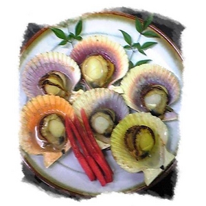 伊勢志摩産 緋扇貝(ヒオウギガイ) 30ヶ