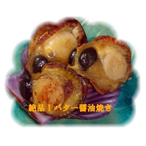 �ɐ��u���Y ���L�i�q�I�E�M�K�C�j  �k�t50��