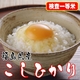 【味と価格に自信アリ!】厳選一等米!平成21年産 福島県産こしひかり玄米10Kg(5kg×2)