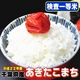 【味と価格に自信アリ！平成22年産新米】極上一等米！　千葉県産あきたこまち玄米30Kg