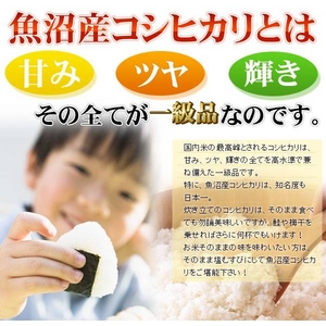 �y�������ɂ��I�z���c���񂿂̋����Y�R�V�q�J��5kg