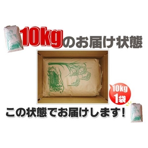 ���c���񂿂̋����Y�R�V�q�J��10kg