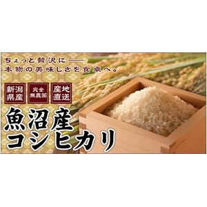 ���c���񂿂̋����Y�R�V�q�J��20kg�i10�����~2�܁j