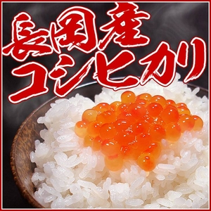 平成22年産新米！新潟県長岡産コシヒカリ30ｋｇ（10ｋｇ×3袋）
