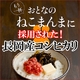 平成21年産 中村さんちの新潟県長岡産コシヒカリ白米 20ｋｇ（10ｋｇ×2袋）