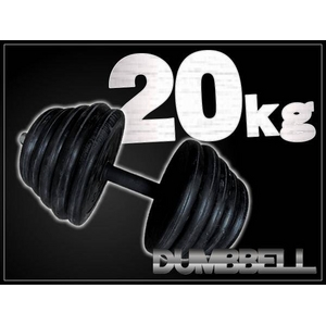 ダンベル 【20kg×1個】 〔筋トレグッズ〕