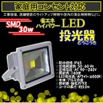 LED投光器 【30W/300W相当】 防水/広角150度 AC100V/5Mコード 防水仕様