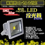 LED 30W^300W^h^Lp150 AC100V^5MR[h