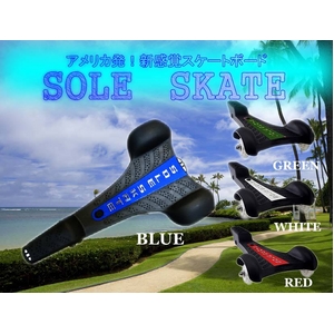 �\�[���X�P�[�g �V�^������X�P�{�[ ���b�h�摜����1