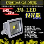 LED30W3000/300W/5MR[h/dF/gF