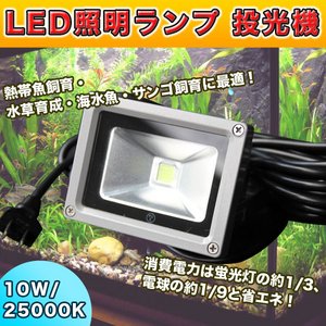 LED照明ランプ/投光器 【10W/25000K】 強化ガラス製 〔水草/熱帯魚/海水魚飼育 水槽用〕