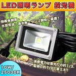 LEDƖv  10W/25000K EMыEC p