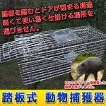 トラップゲージ 捕獲器 踏板式 小動物 動物捕獲器 害獣