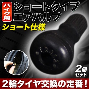 バイク用 ショートタイプエアバルブ チューブレスバルブ2個入り 2輪用
