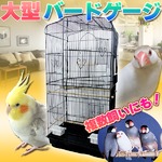 鳥かご　バードゲージ　鳥小屋　セキセイインコ