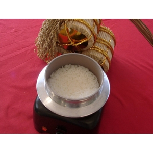 �����đ��������H�ĉ�ÎY�R�V�q�J��100% 150gx20��