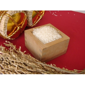 【平成22年産新米】 精米会津産こしひかり 6kg（2kg×3）