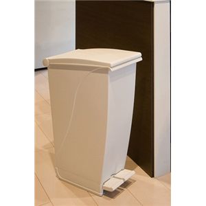 ペグモノトーン 20 ホワイト 【6個セット】