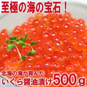 【お歳暮用 のし付き（名入れ不可）】お徳用!ぷっちぷちのいくらの醤油漬500g