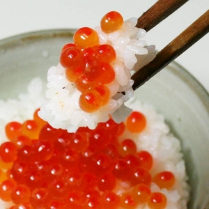 【北海道網走産】お徳用!ぷっちぷちのいくらの醤油漬500g