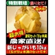 【オススメ!】特別栽培農家直送「新じゃがいも(70g未満サイズ)」 10kg