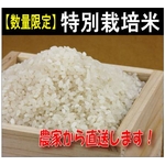 【数量限定】九州の特別栽培農家から“ひのひかり