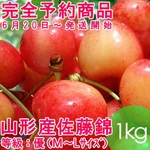 【完全予約商品】バラ詰めさくらんぼ佐藤錦１キロ　等級：優（Ｍ〜Ｌサイズ）