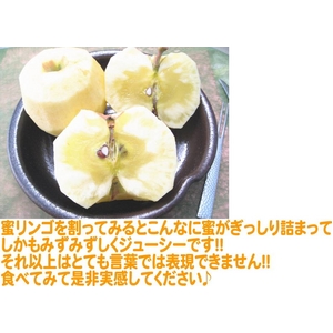 【お歳暮用　のし付き(名入れ不可）】福島県産りんご　プレミアム蜜サンふじ　10kg（32〜36玉）　【贈答用大玉】　