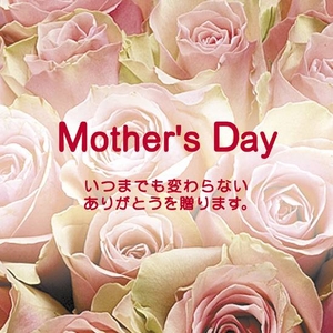 【4月30日10時で予約終了　毎年数十万件の出荷実績元から出荷】母の日メッセージカード付き　カーネーション レッド
