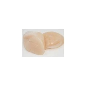噴火湾産 ホタテ貝柱1kg