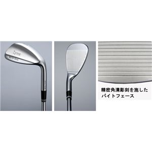 Lynx�i�����N�X�j MASTER MODEL�i�}�X�^�[���f���j AW 53���J�[�{���摜���̂P�X�V��