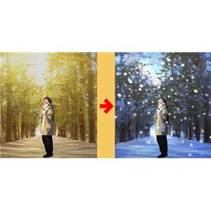 アール・グラージュ 「ぺ・ヨンジュン-並木道-」