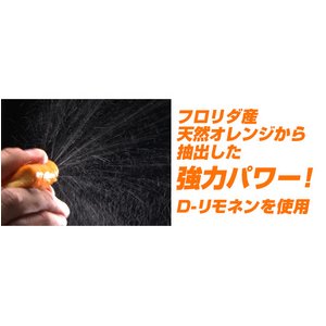 NEWIWp[^I 90摜R