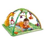 Fisher-Price（フィッシャープライス） マテル レインフォレスト デラックスジム